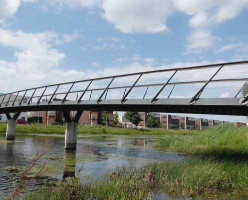Verkeersbruggen De Waalsprong Nijmegen bruggenfamilie verkeersbruggen en fiets- en voetgangersbruggen opvallend ontwerp schuin hekwerk brugontwerp