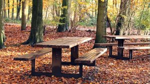 houten picknicktafel cortenstaal Amsterdamse Bos, herfst