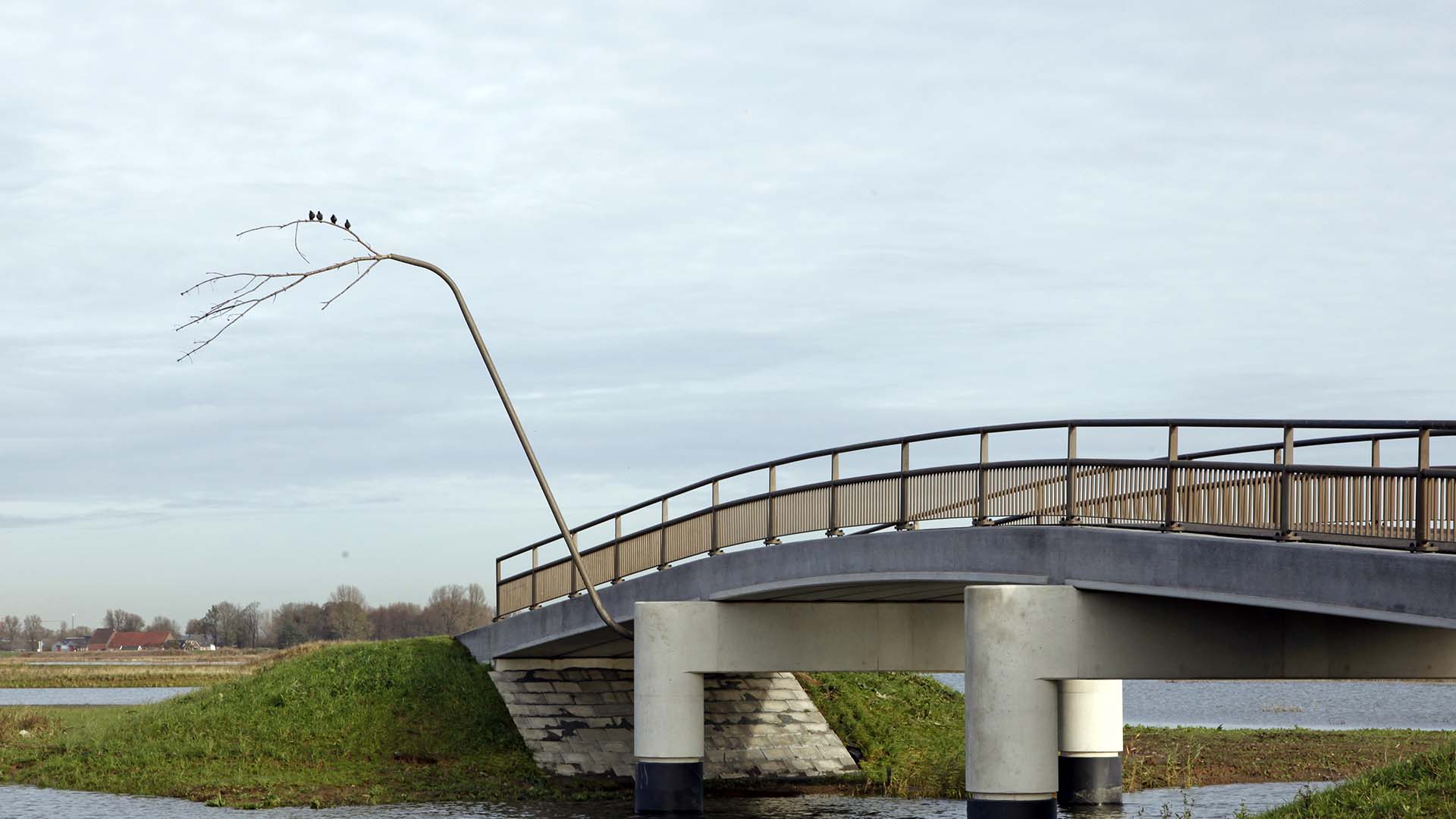 Antecedent overzee Zie insecten vogelstok met vogels stevige brug Noordwaard ipv Delft - ipv Delft  creatieve ingenieurs