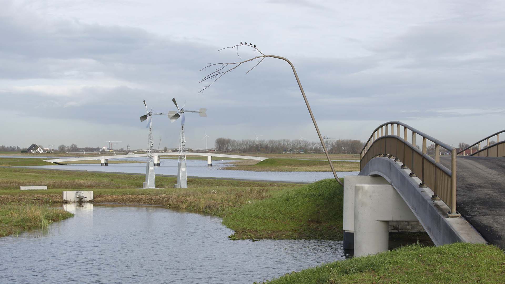 twee Lijkenhuis Niet doen vogelstok natuurinclusief brugontwerp Noordwaard ipv Delft - ipv Delft  creatieve ingenieurs