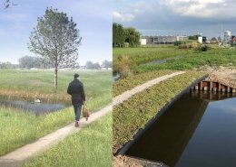 Groene Brug gerealiseerd in Pijnacker